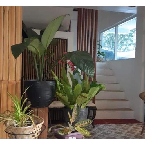 OYO 1130 Thrivers Hometel