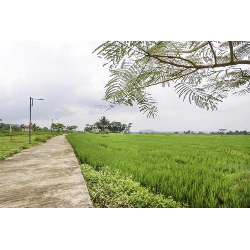 OYO Homes 91151 Desa Wisata Kreatif Perdamaian Srumbung Gunung