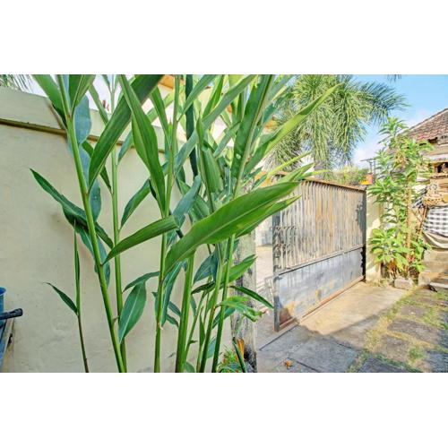 OYO Life 92954 Shanti Kost