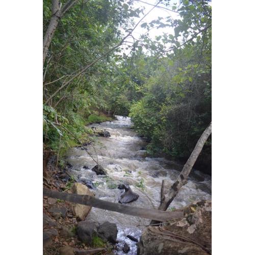 Pacha Waterfront Nithi