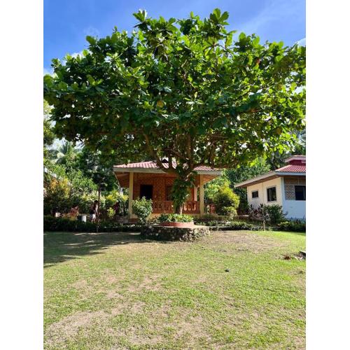 Paco's Garden Home Stay