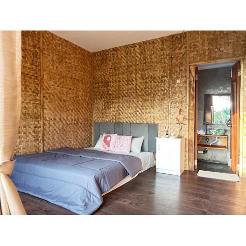 Paddies Homestay New