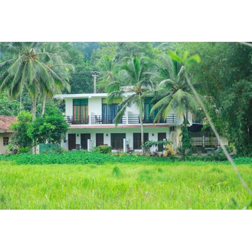 Paddy Field View Resort