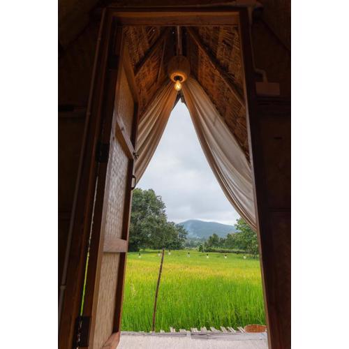 Paddy Fields Haven - Natures Nest