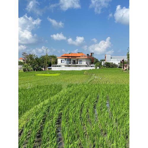 Padi Breeze Guesthouse Pererenan Bali