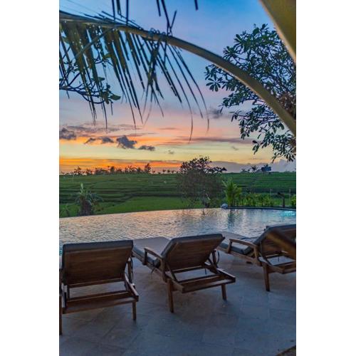 Padma Villa Center Canggu Rice paddies view
