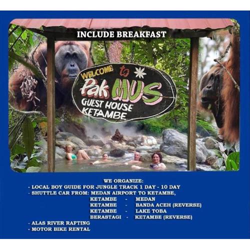 Pak Mus Guest House Ketambe - 0813-7072-1793
