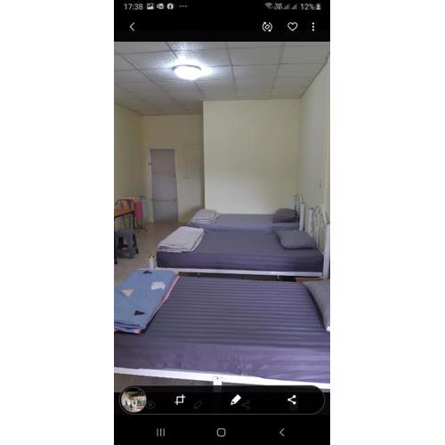 Pakchong hostel & wildlife tour