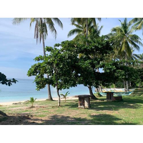 palanas white sand beach resort