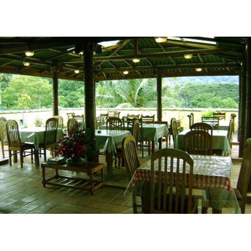 Palm Garden Home Stay