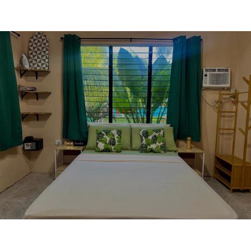 Palm Haven w Starlink