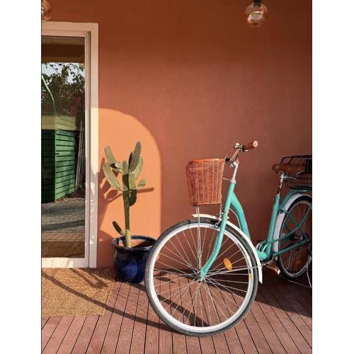 Palm Oasis Guest House