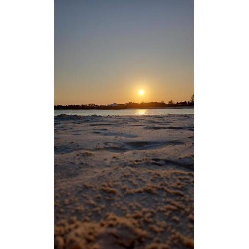 Palm Shores Beach Apartements