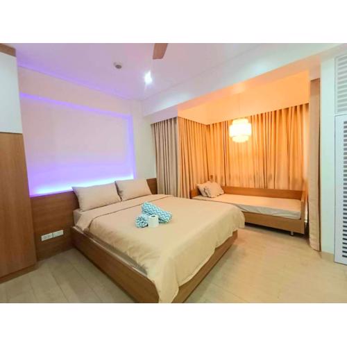 Palm Tree infront NAIA 3