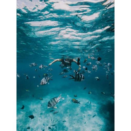 Palm Tree Villa Nungwi