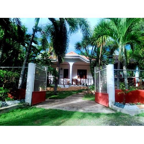 Palmera Palma Private 1-BR Bungalow in Moalboal