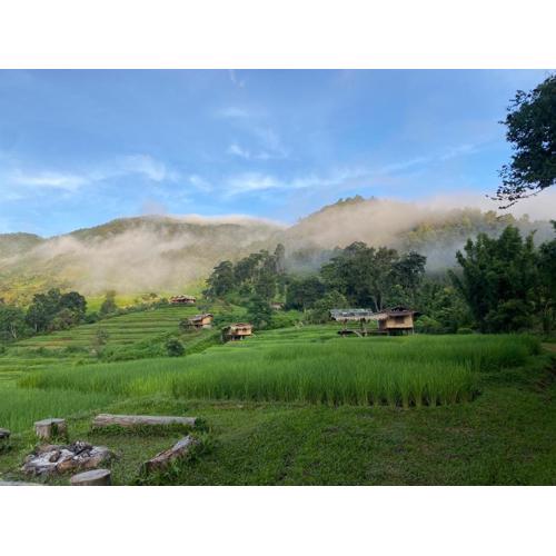 Pang Ma - O rice terrace นาขั้นบันไดบ้านปางมะโอ