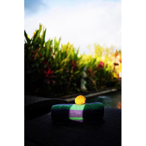 Panorama Paddy Paradise