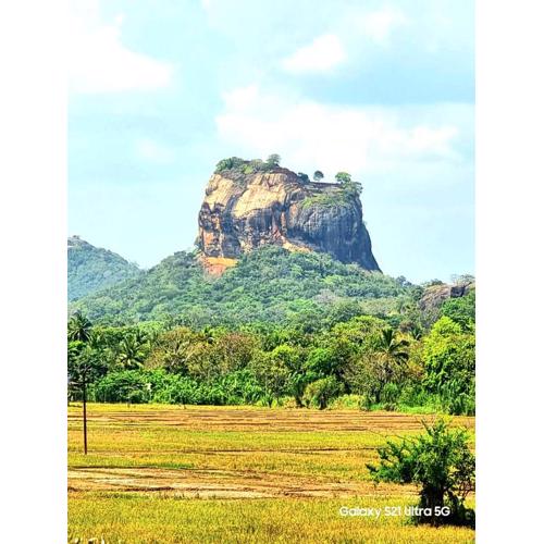 Panoramic Royal Villa