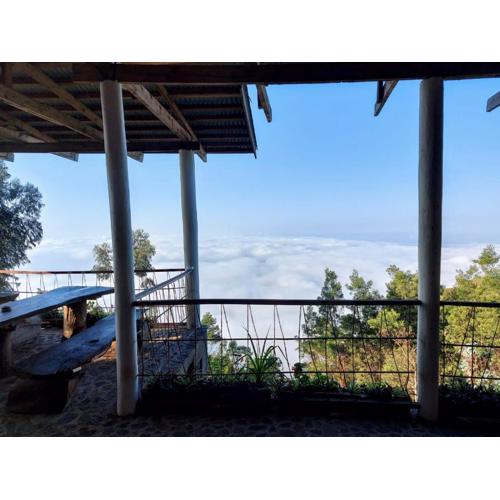 Paradise Eco Farm Homestay