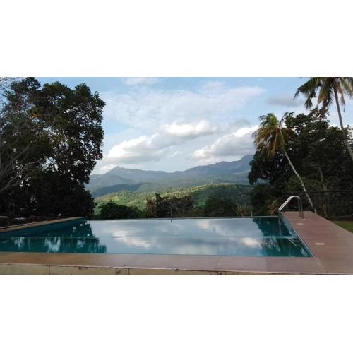 Paradise Forest Garden