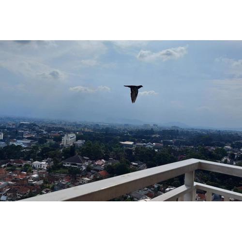 PaRes Apt 2BR Unit 2 by eRJe