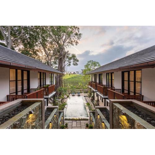 Paripadi Studio Canggu