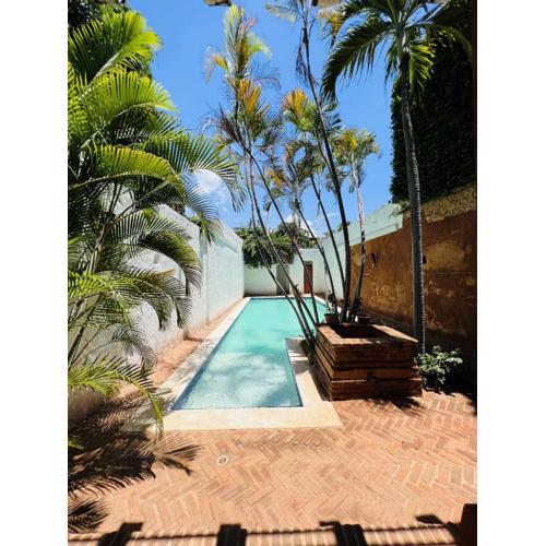 Paseo Colonial - Ermitage #5