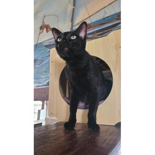 Paseo Del Mar Seaside Inn