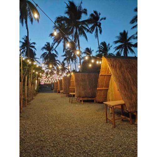Patar Palms