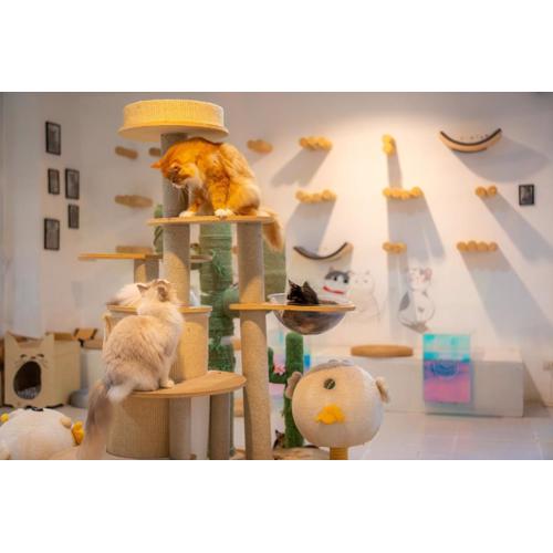 Patong Beach Side Hotel