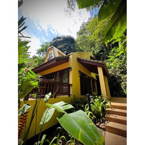 Patong Beach森林屋111