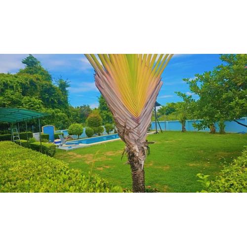 Pattaya Paradise Pool villa with Garden 3BR