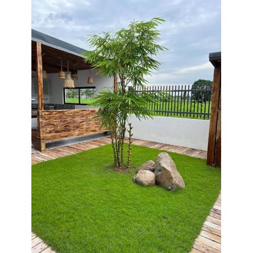 peaceful bamboo farm villa