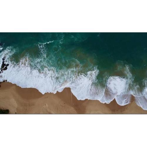 Peacock Residence & Cabana's