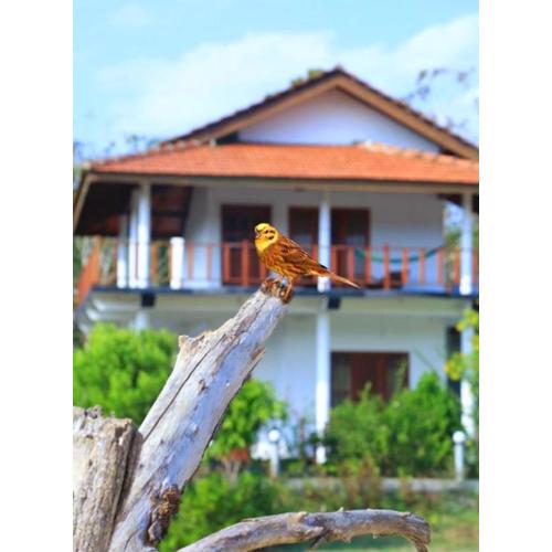 Pearl Cave Cabanas & Resturant