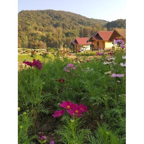 Peisanae Faikeng Resort