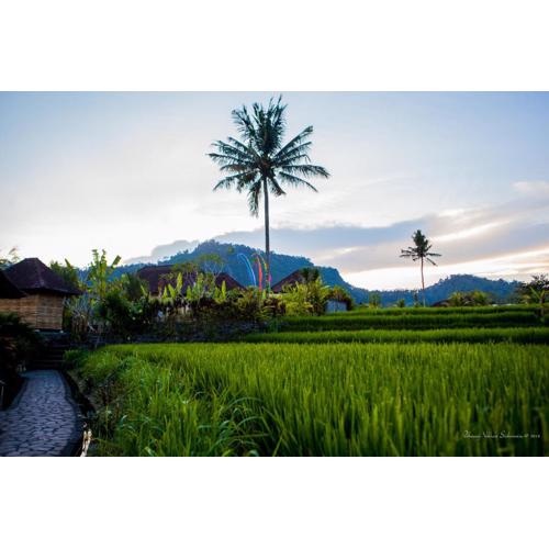 Pelangi Villas Sidemen by AGATA