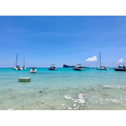 Penthouse Bain Bœuf vue mer