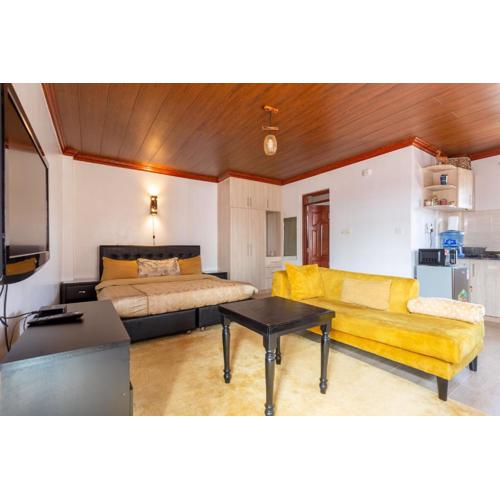 Penthouse Rooftop Studio with King bed