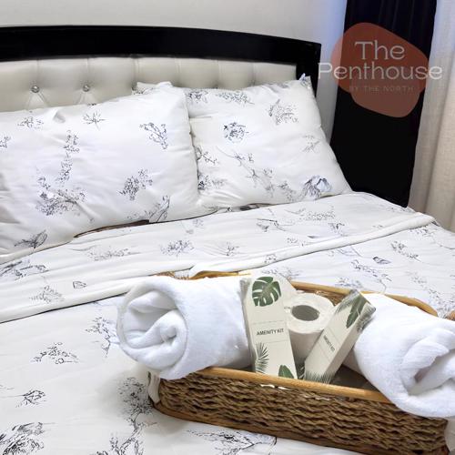 Penthouse Unit with 3 beds in Quezon City