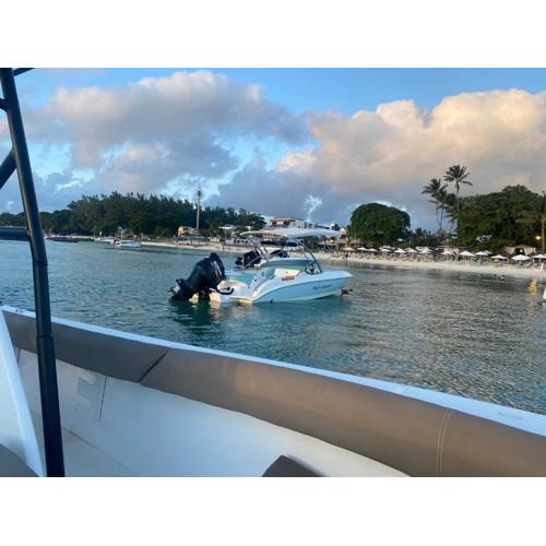 Perfect summer excursions