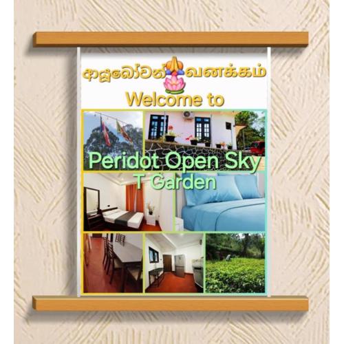 Peridot Open Sky T Garden