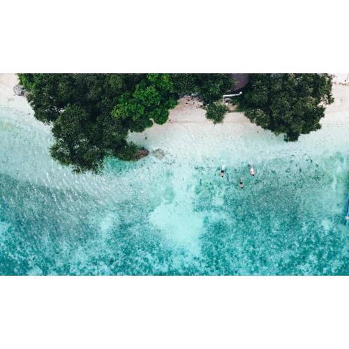 Pescador View - Beachfront & nearby the Ocean Hostels & Restaurant Moalboal