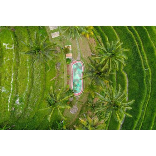 Pesona Bali Ecolodge by AGATA