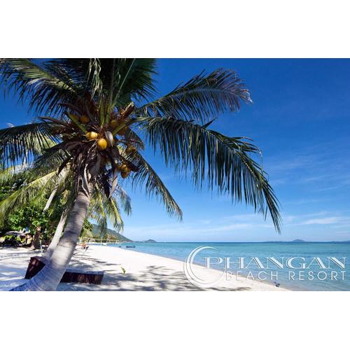 Phangan Beach Resort