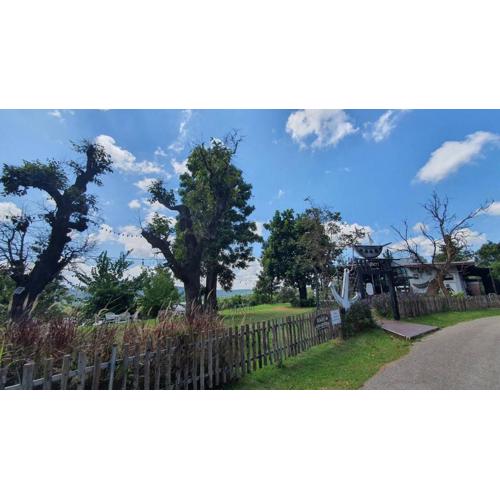 Phu Sumphao Valley ภูสำเภา วัลเลย์ รีสอร์ต