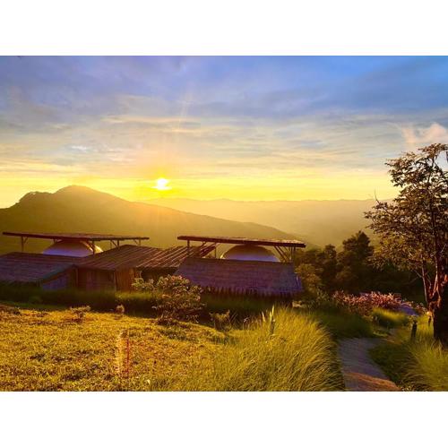 Phuchifa Sky Camp ร้อยรักภูชี้ฟ้า