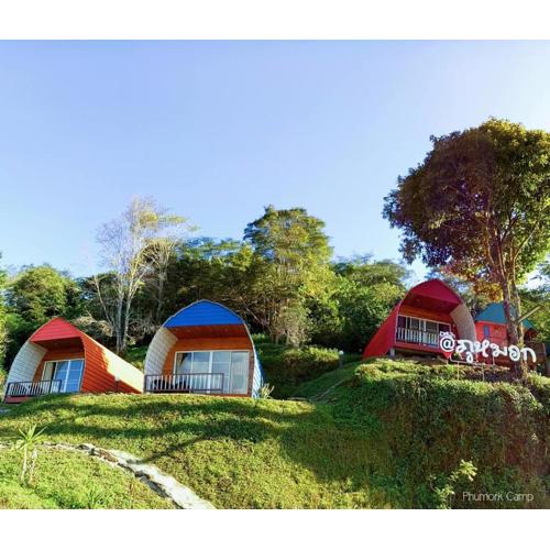 Phumork Camp Phu Chi Fa