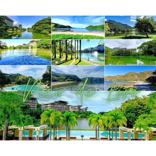 Pico de Loro Condo Accommodation for Rent
